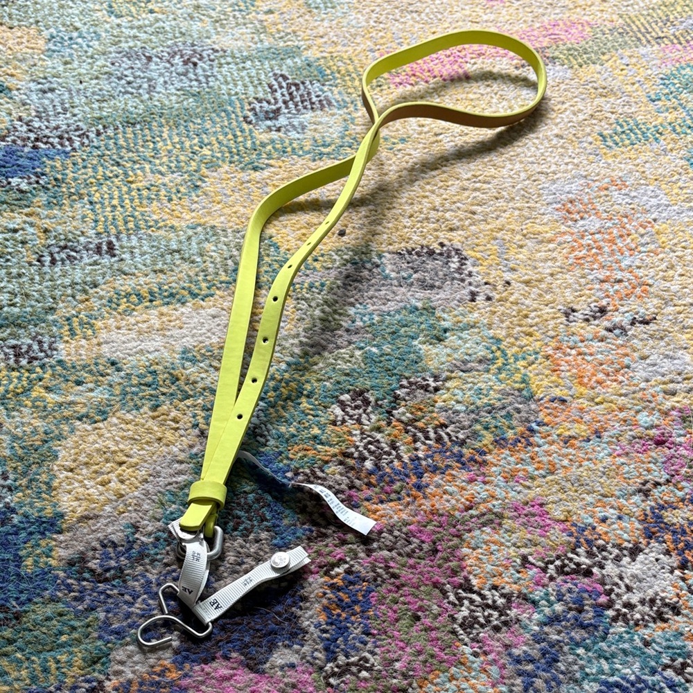American Eagle Outfitters Vibrant Yellow Belt